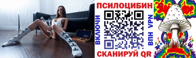 Псилоцибиновые грибы мицелий магазин продажи Елизаветинская